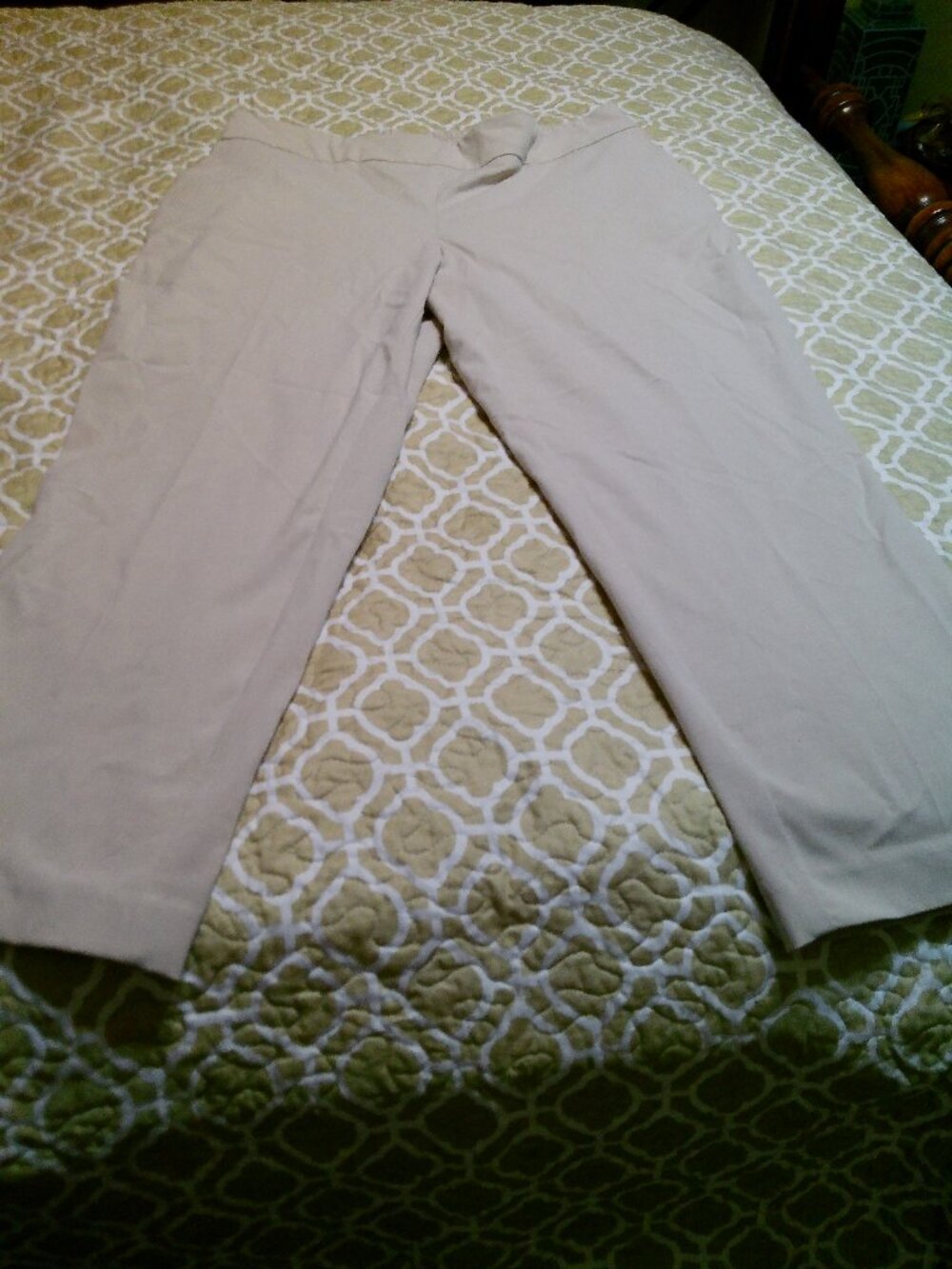 HILLARY RADLEY LIGHT BEIGE PULL ON ANKLE PANTS SIZE XL